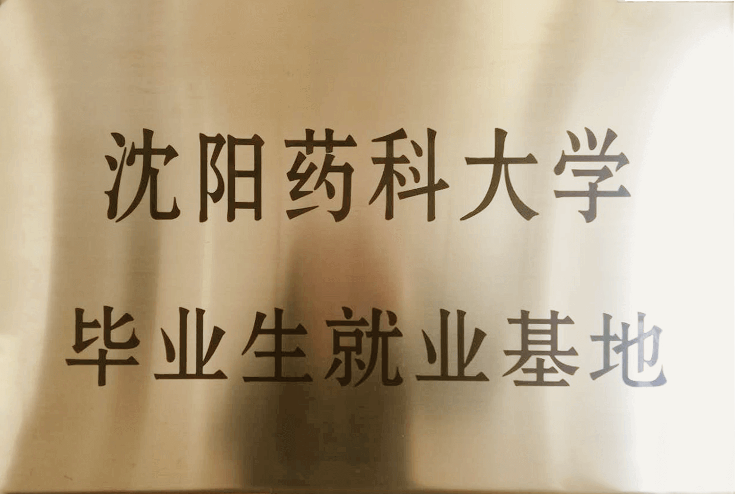 沈陽藥科大學畢業(yè)生就業(yè)基地